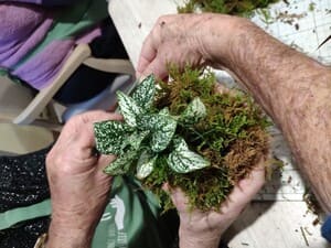 Comment faire un Kokedama ?